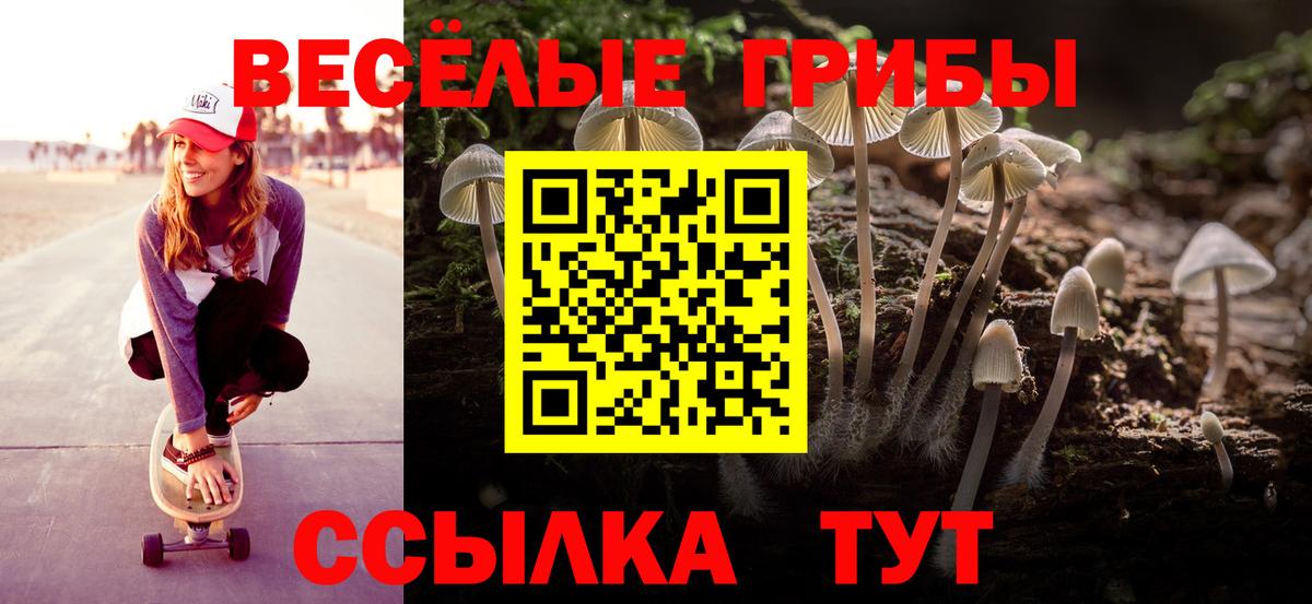 Псилоцибиновые грибы Cubensis  Псилоцибиновые грибы Psilocybe  Вход с VPN  Реж 
